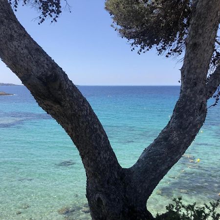 Les Baux 2 Sanary Sur Mer Εξωτερικό φωτογραφία